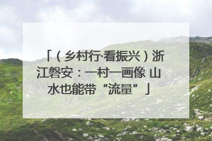 （乡村行·看振兴）浙江磐安：一村一画像 山水也能带“流量”