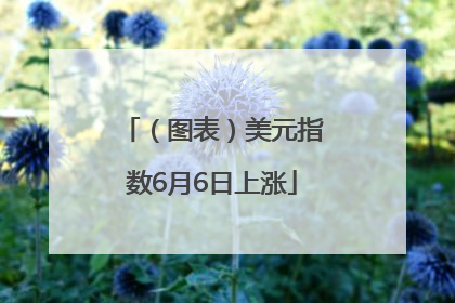 （图表）美元指数6月6日上涨
