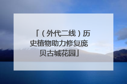 （外代二线）历史植物助力修复庞贝古城花园