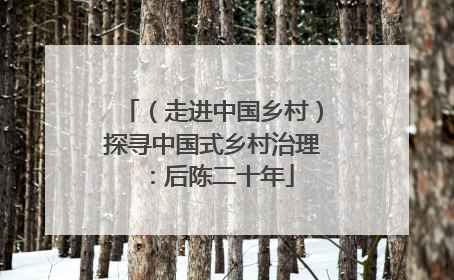 （走进中国乡村）探寻中国式乡村治理：后陈二十年