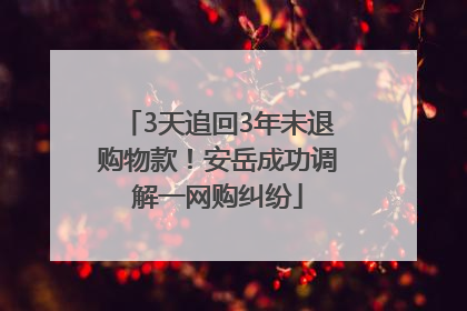 3天追回3年未退购物款！安岳成功调解一网购纠纷
