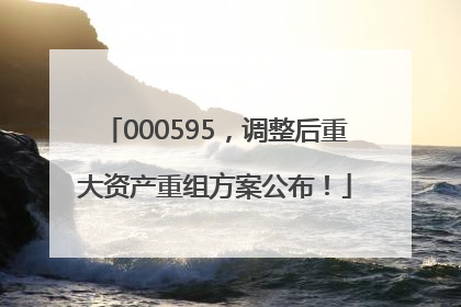 000595，调整后重大资产重组方案公布！
