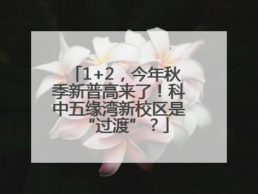 1+2，今年秋季新普高来了！科中五缘湾新校区是“过渡”？