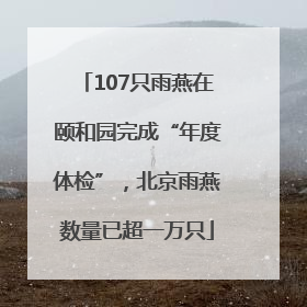 107只雨燕在颐和园完成“年度体检”，北京雨燕数量已超一万只