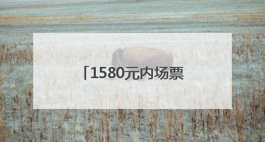 1580元内场票秒光上热搜，岳云鹏的演唱会谁买单？