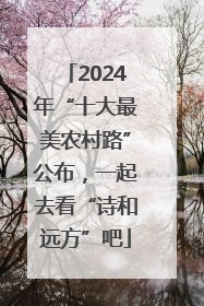2024年“十大最美农村路”公布，一起去看“诗和远方”吧