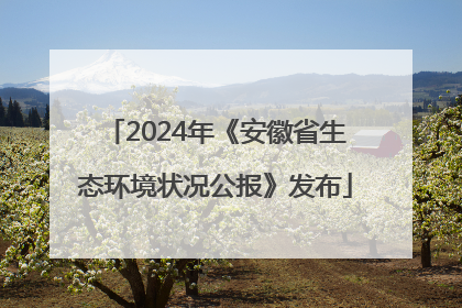 2024年《安徽省生态环境状况公报》发布