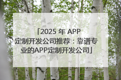 2025 年 APP 定制开发公司推荐：靠谱专业的APP定制开发公司