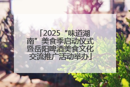 2025“味道湖南”美食季启动仪式暨岳阳啤酒美食文化交流推广活动举办