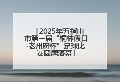 2025年五指山市第三届“桐林假日·老州府杯”足球比赛圆满落幕