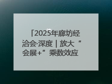 2025年廊坊经洽会·深度｜放大“会展+”乘数效应 打造消费新场景