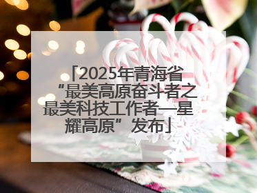 2025年青海省“最美高原奋斗者之最美科技工作者—星耀高原”发布