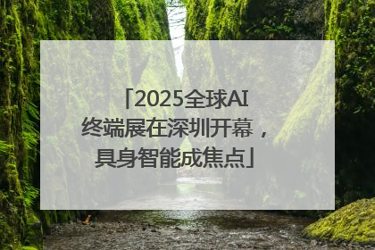 2025全球AI终端展在深圳开幕，具身智能成焦点