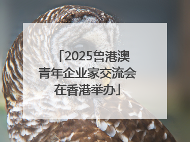 2025鲁港澳青年企业家交流会在香港举办