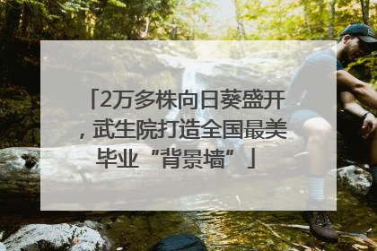 2万多株向日葵盛开，武生院打造全国最美毕业“背景墙”