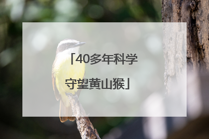 40多年科学守望黄山猴