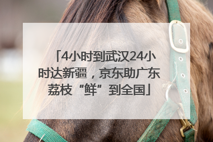 4小时到武汉24小时达新疆，京东助广东荔枝“鲜”到全国