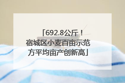 692.8公斤！宿城区小麦百亩示范方平均亩产创新高