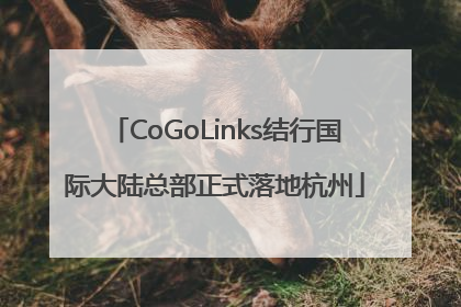 CoGoLinks结行国际大陆总部正式落地杭州