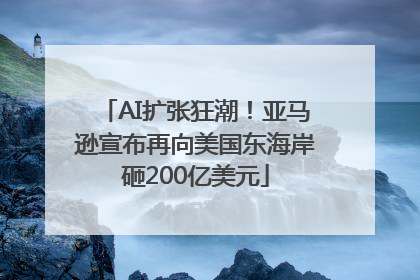 AI扩张狂潮！亚马逊宣布再向美国东海岸砸200亿美元