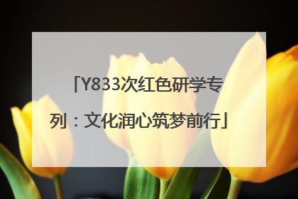 Y833次红色研学专列：文化润心筑梦前行